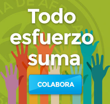 donacion