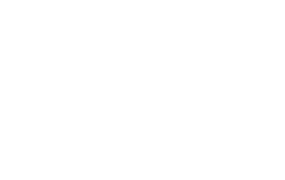 gesdep